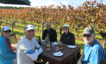 day-tours-from-auckland.jpg day-tours-from-auckland.jpg
